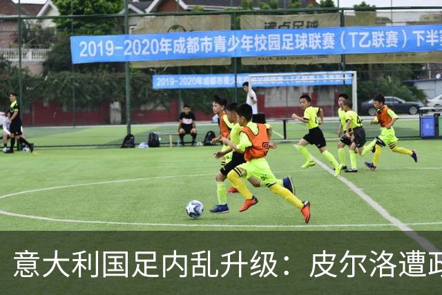 意大利国足内乱升级：皮尔洛遭政界封杀痛失帅位，马尔蒂尼怒摔饭碗